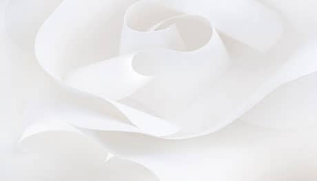 Romance of Roses Coll - Featured Bg (C)
